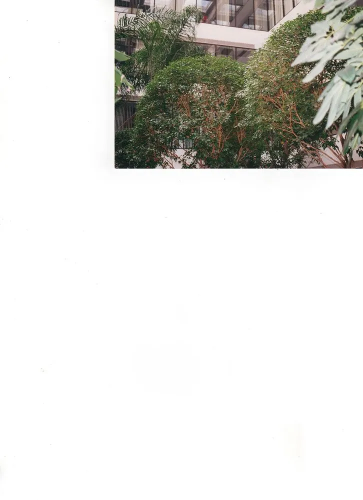 Top-rated yard maintenance in Taylor, MI - Michigan Pond and Plant