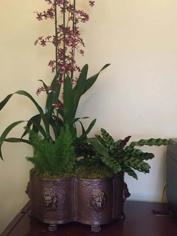 Expert outdoor landscaping in Taylor, MI - Michigan Pond and Plant