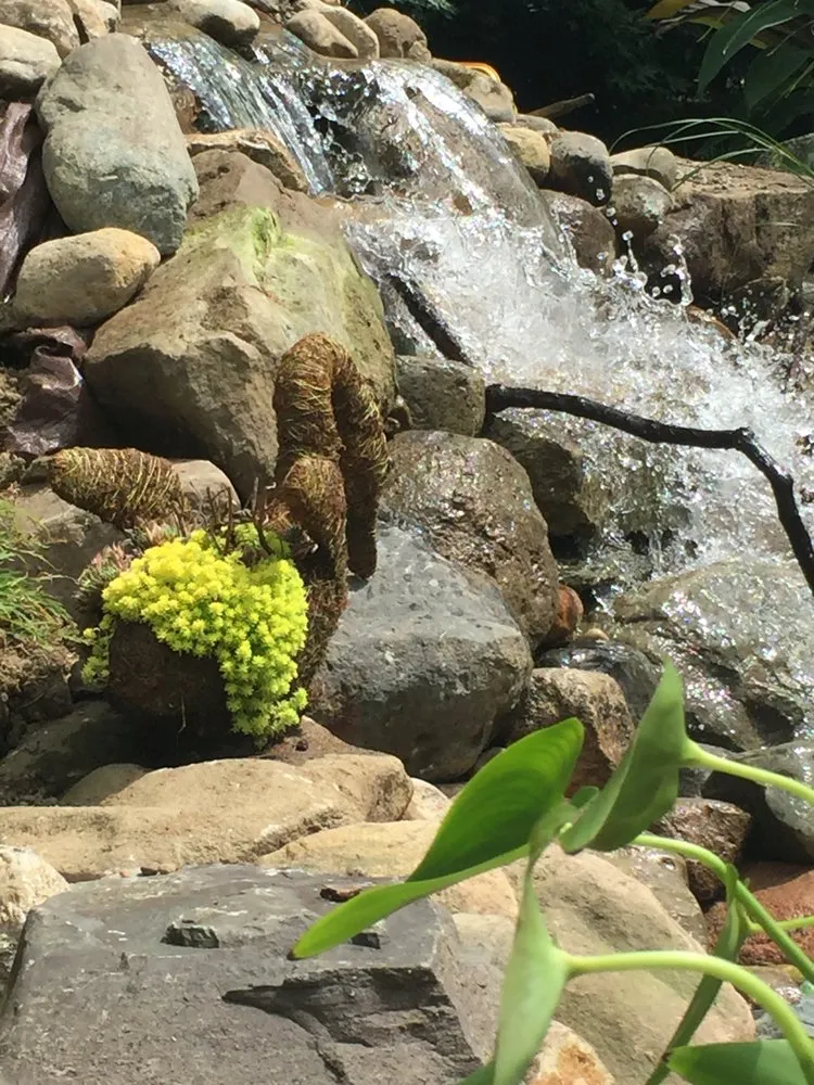 Expert landscape installation for outdoor upgrades in Taylor, MI by Michigan Pond and Plant