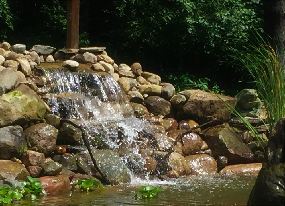 Expert garden landscaping in Taylor, MI - Michigan Pond and Plant