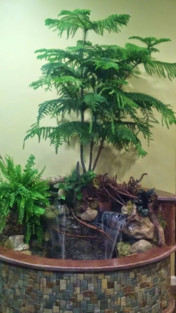 Affordable lawn mowing service in Taylor, MI by Michigan Pond and Plant