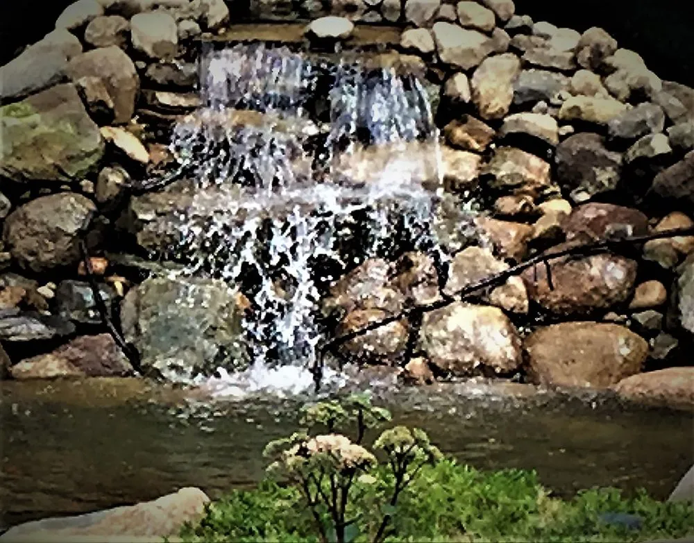 Reliable landscape design experts serving Taylor, MI - Michigan Pond and Plant