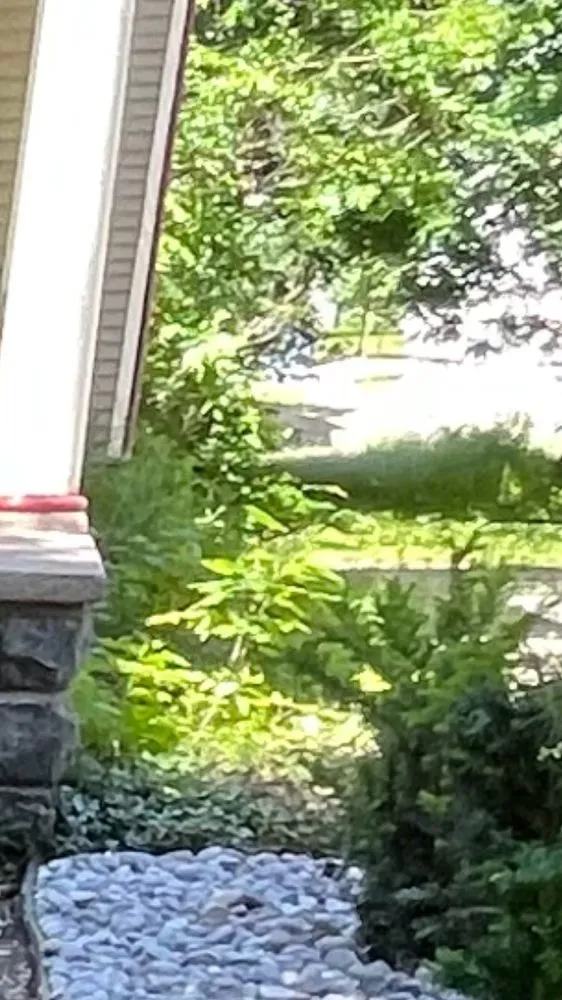 Reliable landscape installation in Byron Center, MI - Michlawn Services