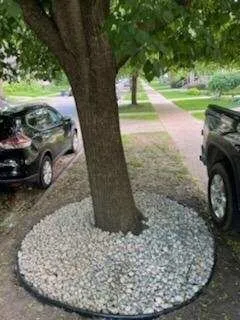 Reliable yard cleanup service for outdoor upgrades in Byron Center, MI by Michlawn Services