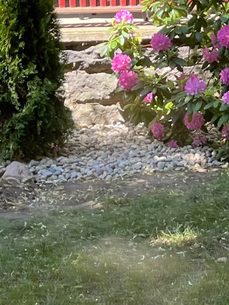 Reliable residential landscaping in Byron Center, MI by Michlawn Services