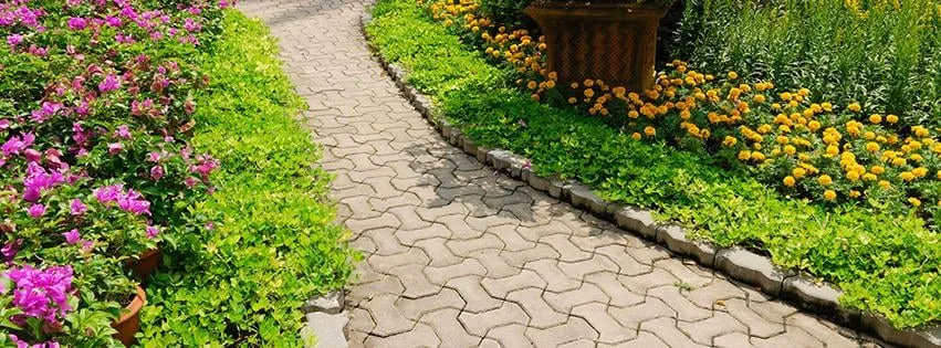 Custom lawn mowing service experts serving Margate, FL - Michoacan Property Maintenance