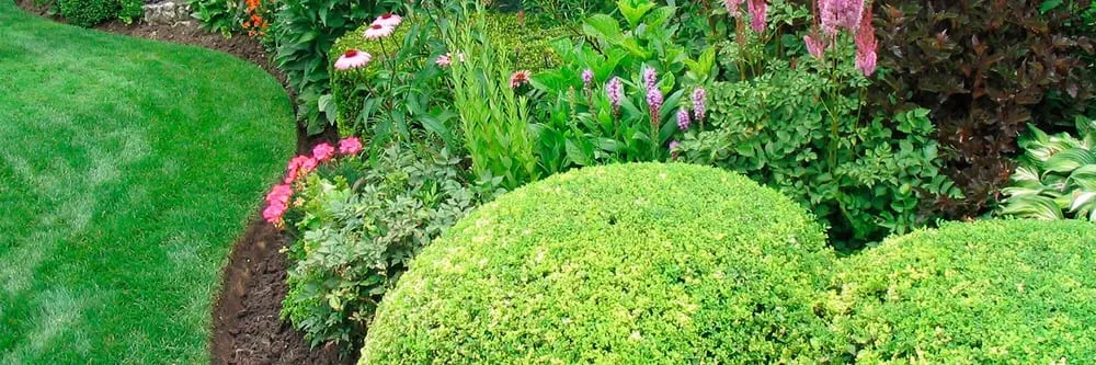 Trusted landscaping services in Margate, FL by Michoacan Property Maintenance