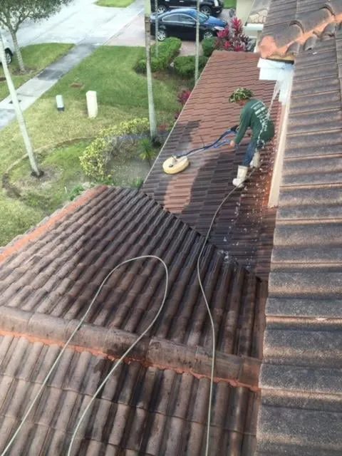 Top-rated garden landscaping experts serving Margate, FL - Michoacan Property Maintenance