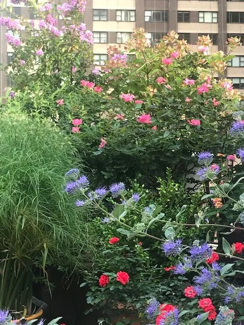 Professional landscape design experts serving Queens, NY - Mickael D Pelow