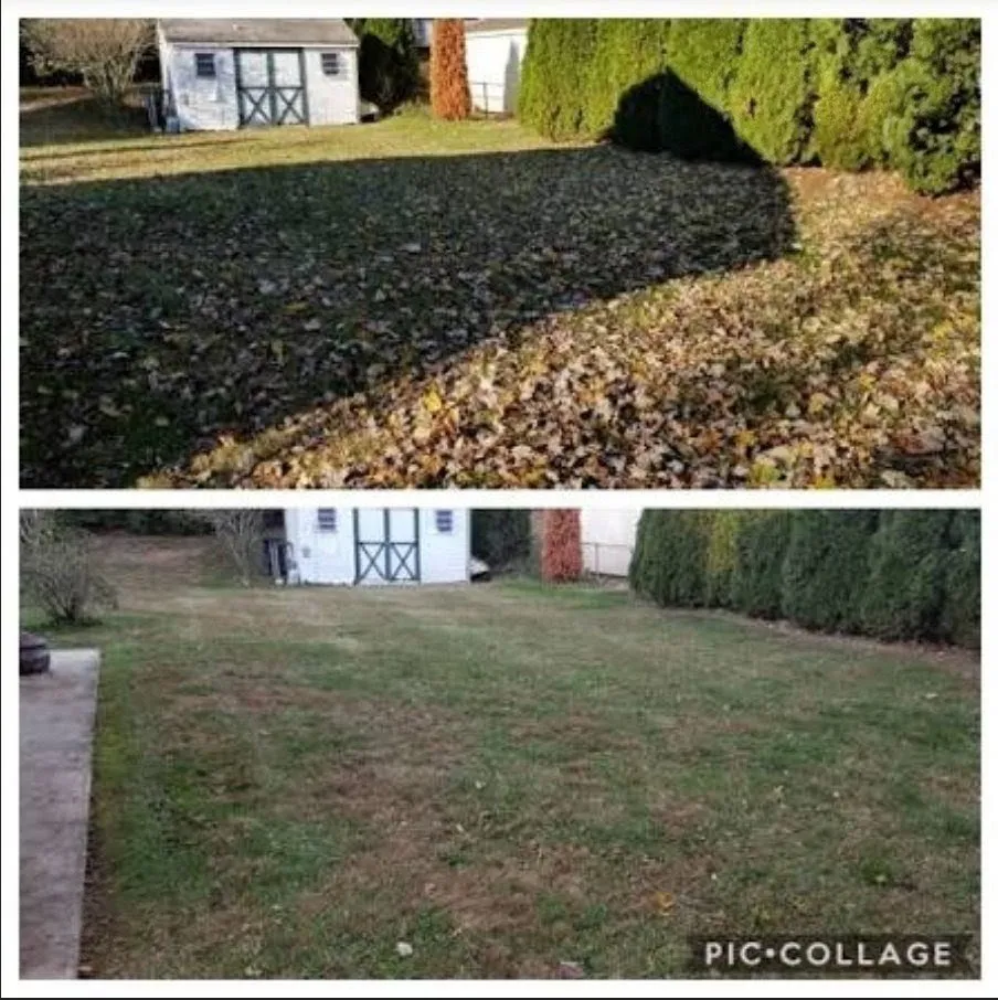 Local landscaping services in Mulvane, KS - Mickel's Yard Cleanup and Snow Clearing