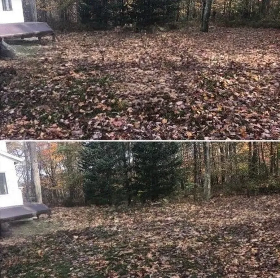 Expert landscaping services for outdoor upgrades in Mulvane, KS by Mickel's Yard Cleanup and Snow Clearing