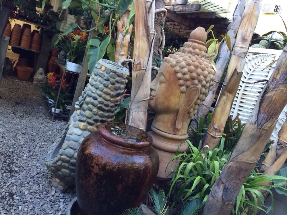 Professional yard maintenance in Los Angeles, CA - Mickey Hargitay Plants