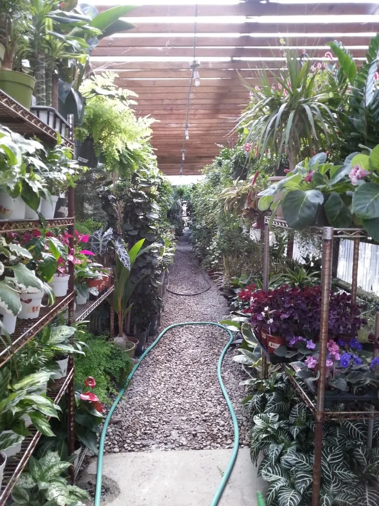 Affordable yard maintenance in Los Angeles, CA by Mickey Hargitay Plants