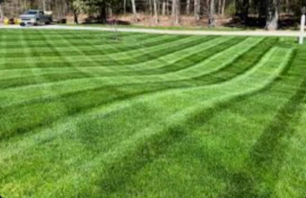 Affordable residential landscaping in Vidor, TX by Mickey's Mowing And Maintenance