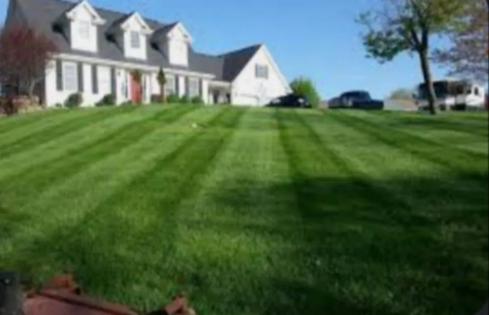 Local landscape installation for residential properties in Vidor, TX by Mickey's Mowing And Maintenance