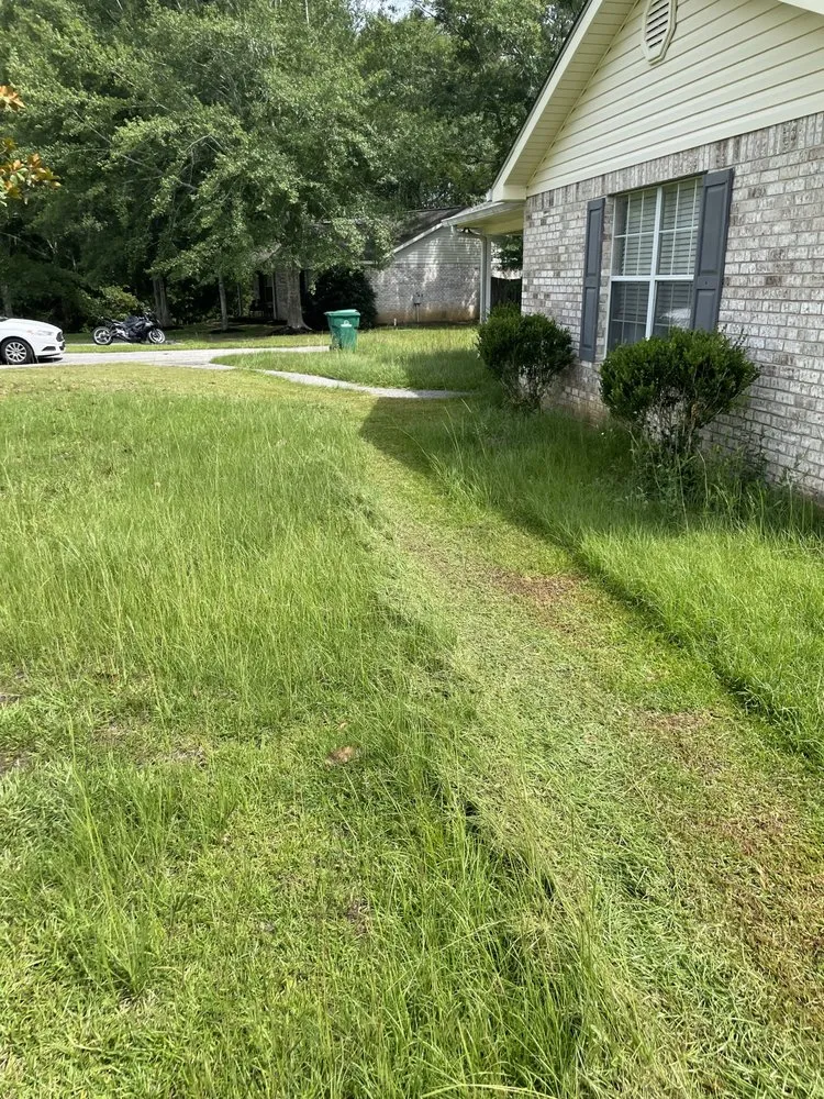 Trusted landscaping services for homes across Gulfport, MS - Mickey’s Yard Service