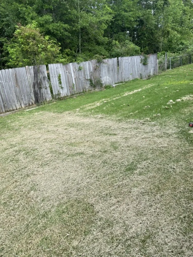 Top-rated landscape design in Gulfport, MS by Mickey’s Yard Service