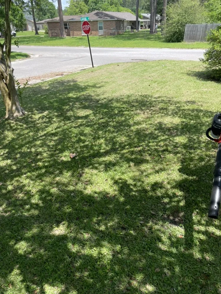 Top-rated yard cleanup service in Gulfport, MS by Mickey’s Yard Service