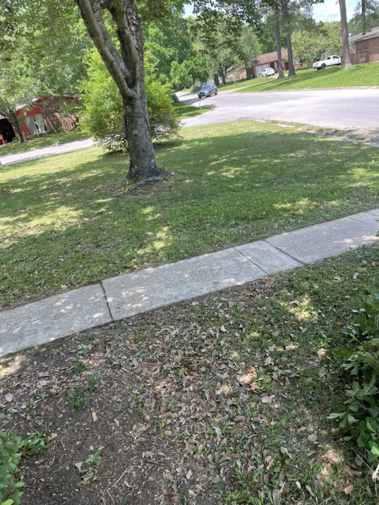 Professional landscaping services in Gulfport, MS by Mickey’s Yard Service