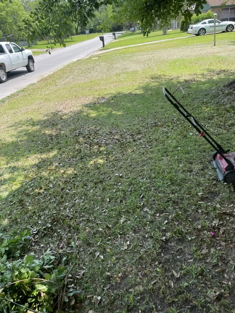 Reliable outdoor landscaping in Gulfport, MS by Mickey’s Yard Service