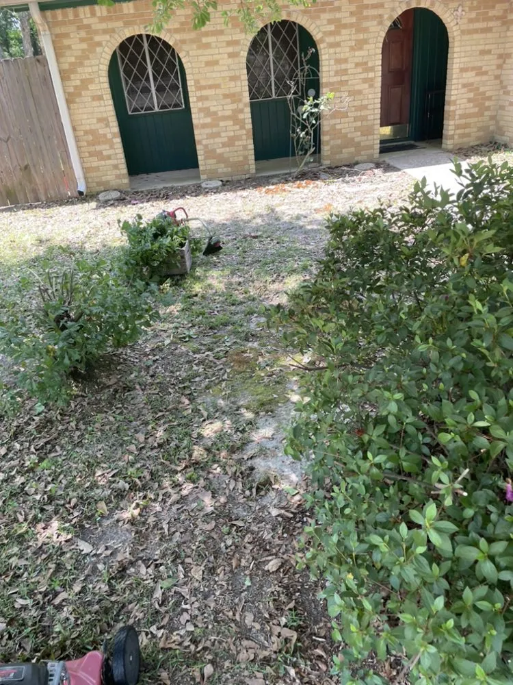 Top-rated yard cleanup service in Gulfport, MS by Mickey’s Yard Service