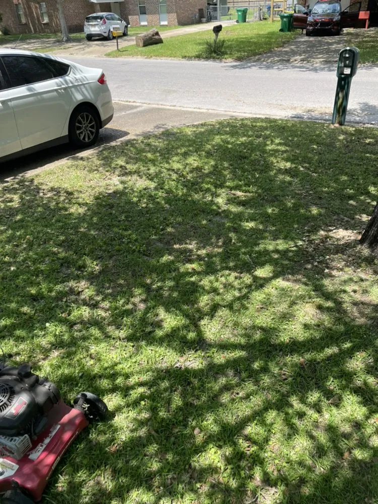 Custom yard cleanup service for homes across Gulfport, MS - Mickey’s Yard Service