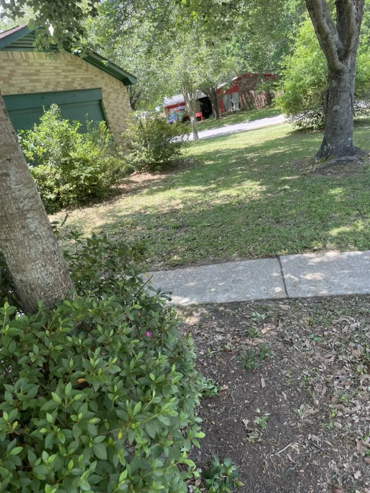 Top-rated yard cleanup service for residential properties across Gulfport, MS - Mickey’s Yard Service
