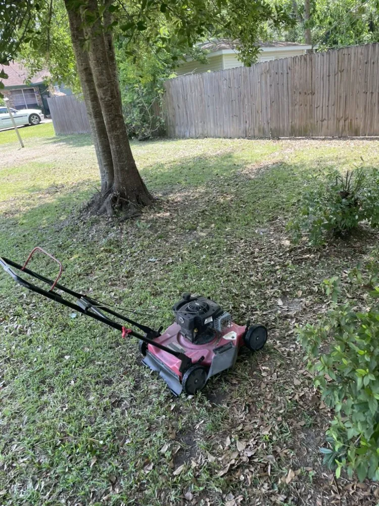 Affordable landscape design for beautiful yards across Gulfport, MS - Mickey’s Yard Service