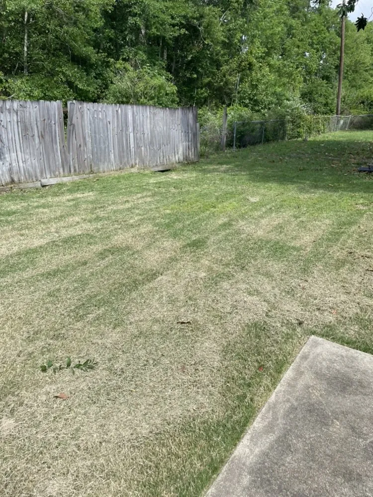 Reliable landscape installation experts serving Gulfport, MS - Mickey’s Yard Service