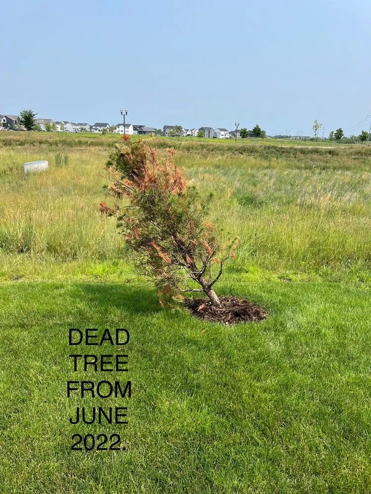 Custom landscaping services in Ham Lake, MN by Mickman Brothers