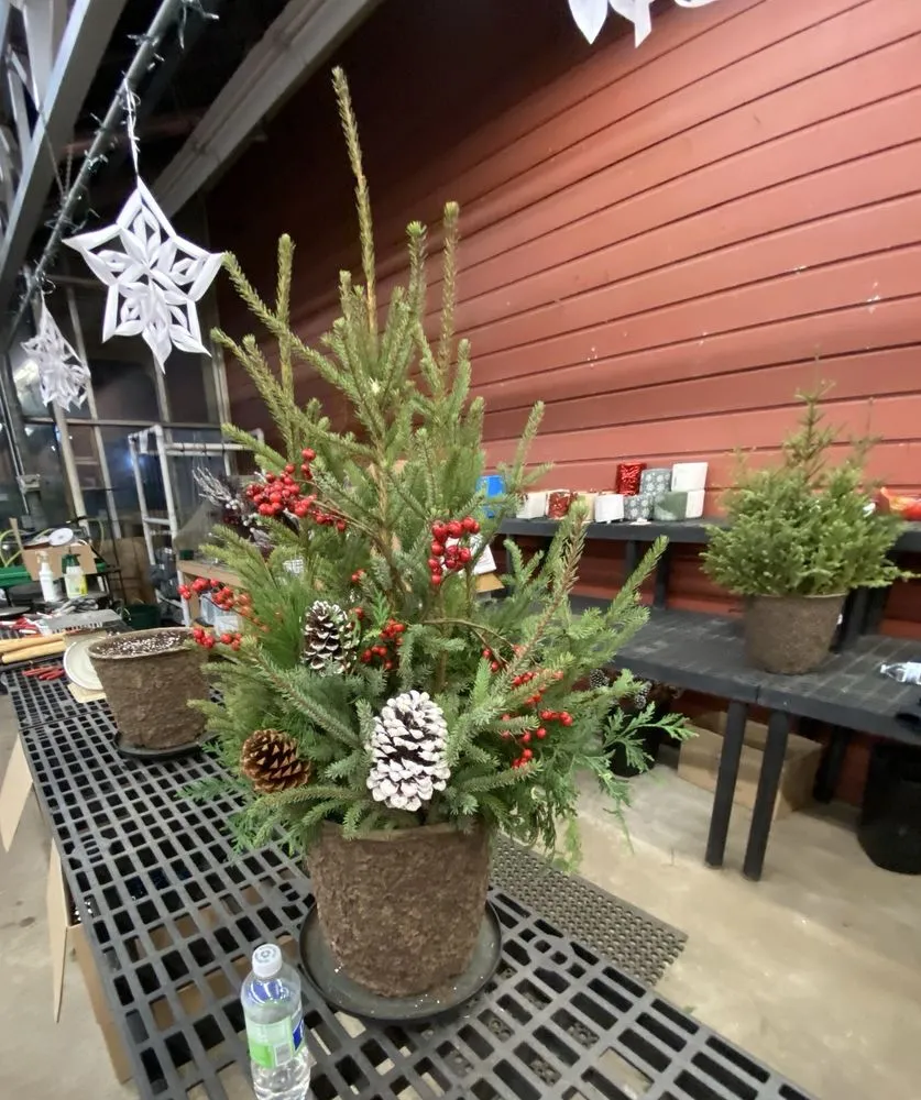 Top-rated lawn care service in Ham Lake, MN by Mickman Brothers