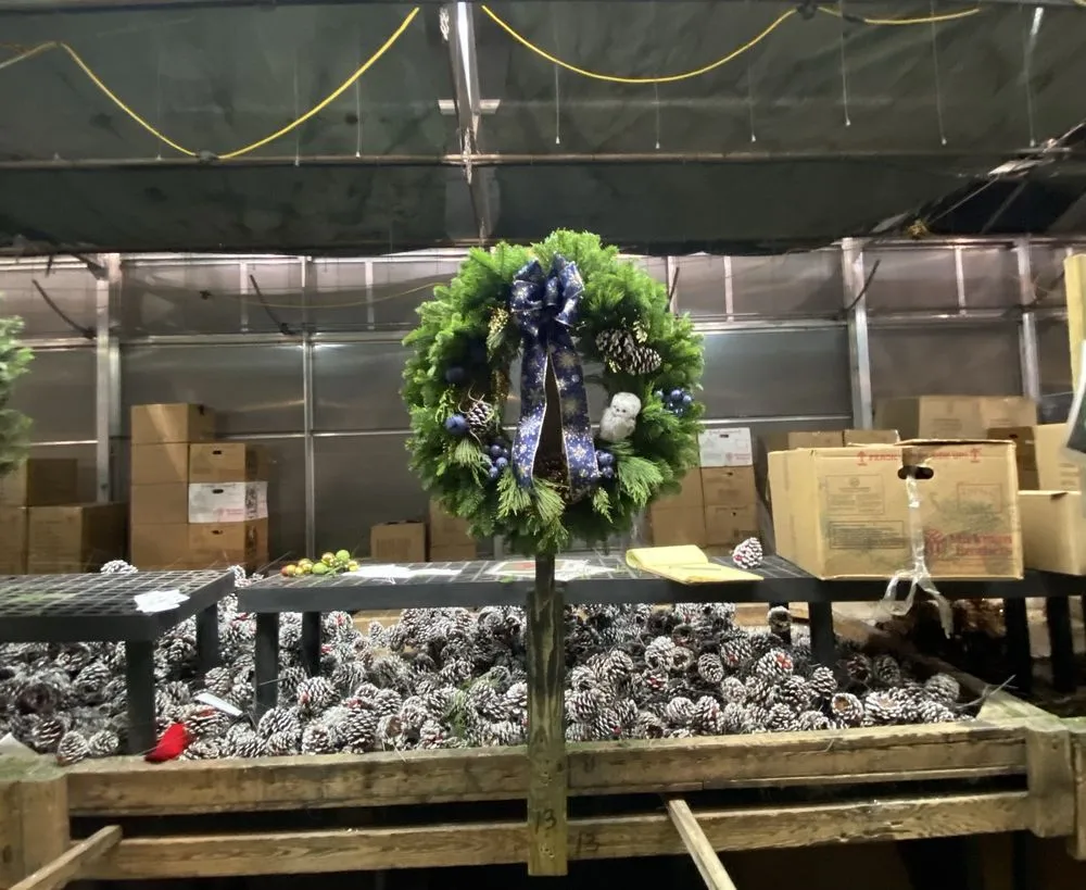 Expert yard cleanup service experts serving Ham Lake, MN - Mickman Brothers