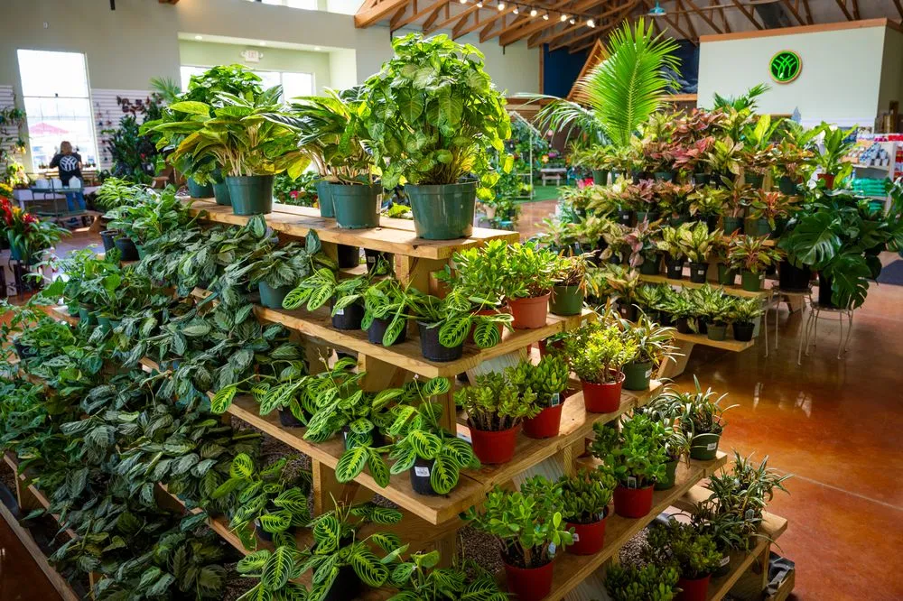 Professional yard cleanup service in Ham Lake, MN - Mickman Brothers