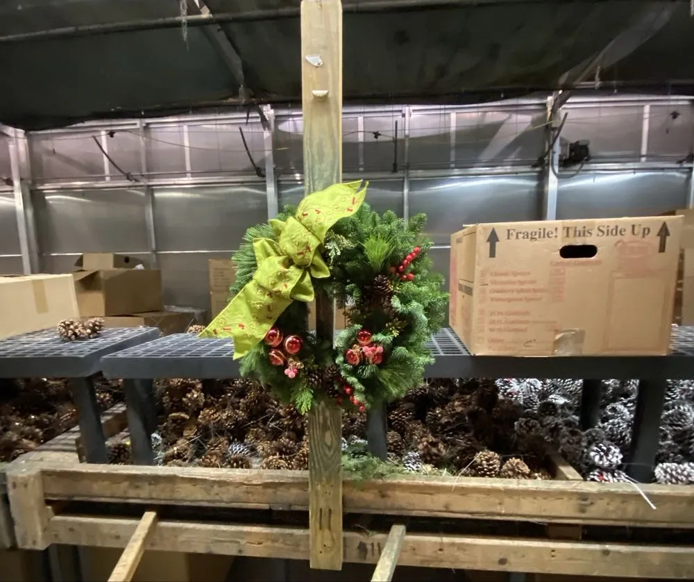 Expert yard maintenance for year-round maintenance across Ham Lake, MN - Mickman Brothers