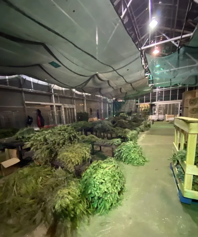 Trusted yard cleanup service for beautiful yards across Ham Lake, MN - Mickman Brothers