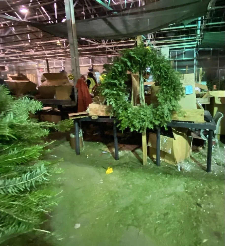 Professional landscape installation in Ham Lake, MN - Mickman Brothers