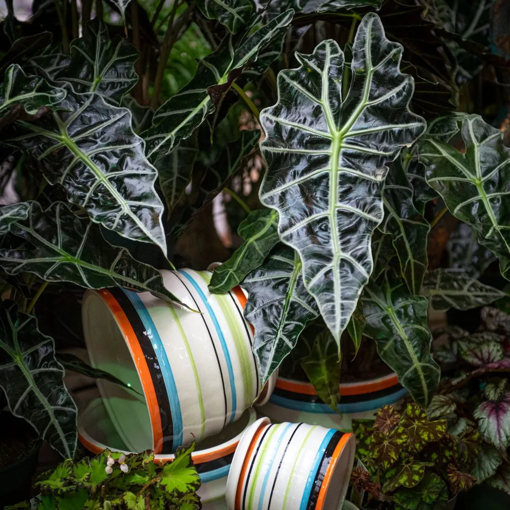 Custom garden landscaping in Ham Lake, MN - Mickman Brothers