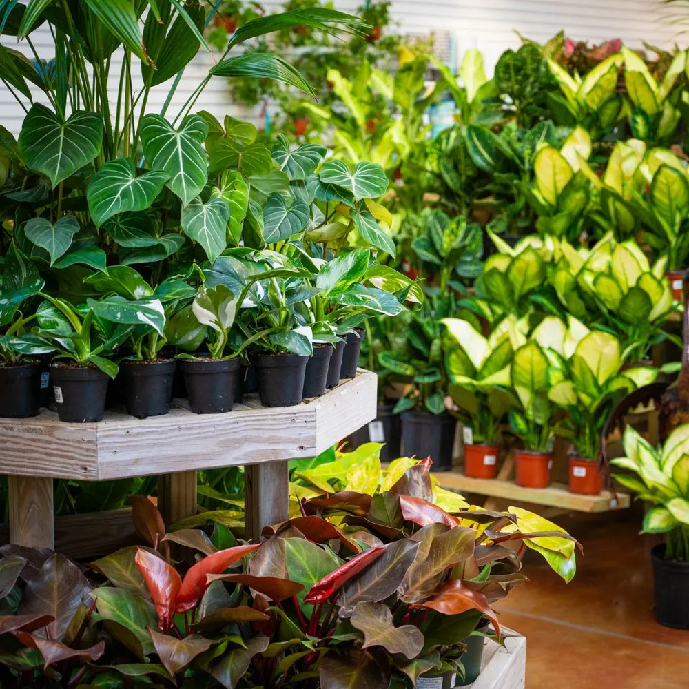 Professional garden landscaping experts serving Ham Lake, MN - Mickman Brothers