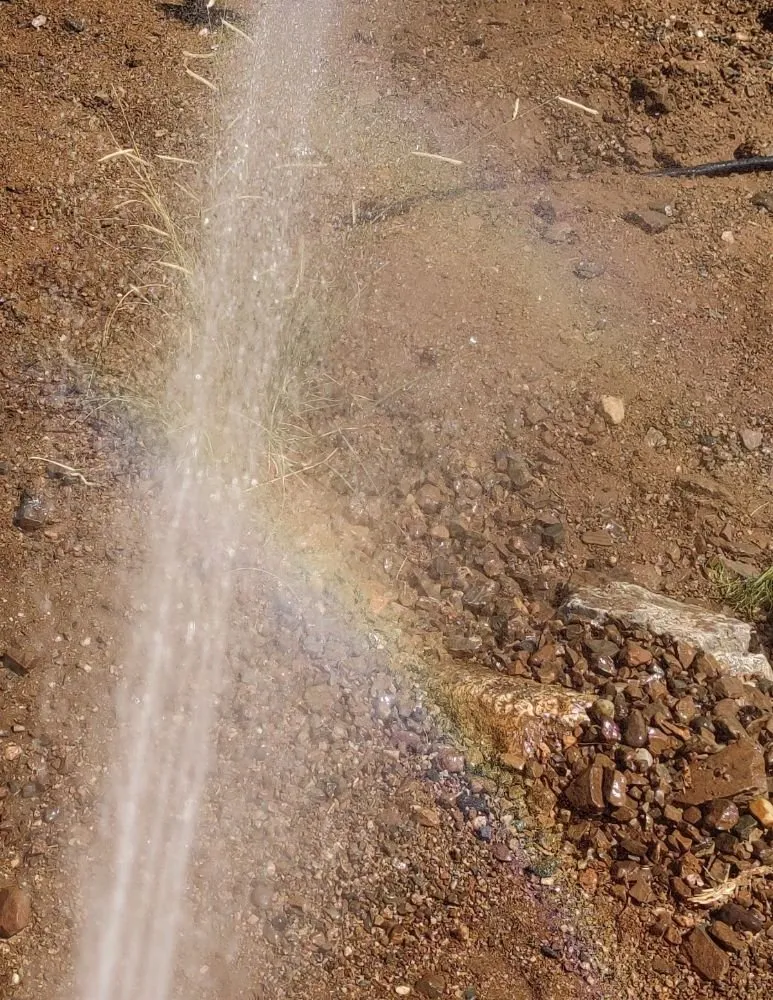 Trusted lawn care service in Tucson, AZ - Microcosm Landscaping