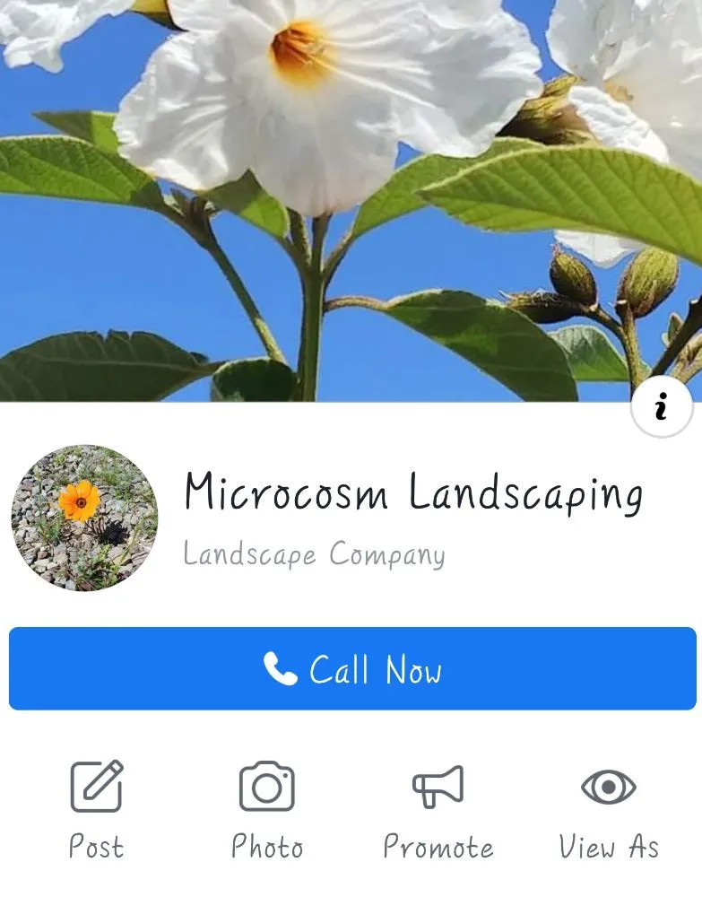 Affordable landscape design in Tucson, AZ by Microcosm Landscaping