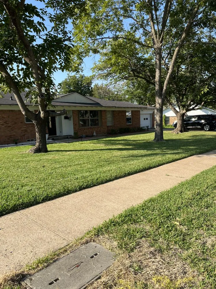 Local yard maintenance in DeSoto, TX - Mics lawn service