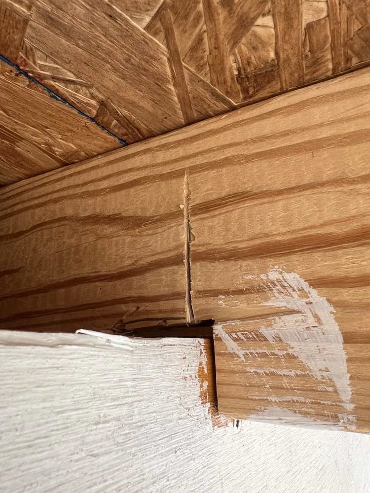 Top-rated yard maintenance experts serving Gallatin, TN - Mid 10 Building