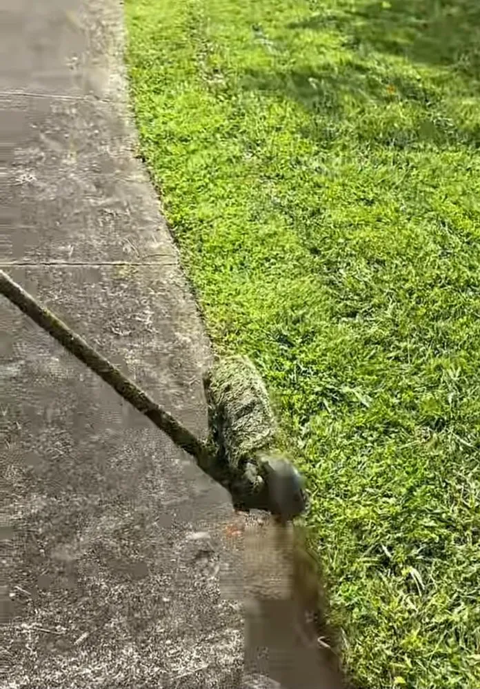 Top-rated yard maintenance in Charleston, IL - Mid-America Lawncare & Landscaping