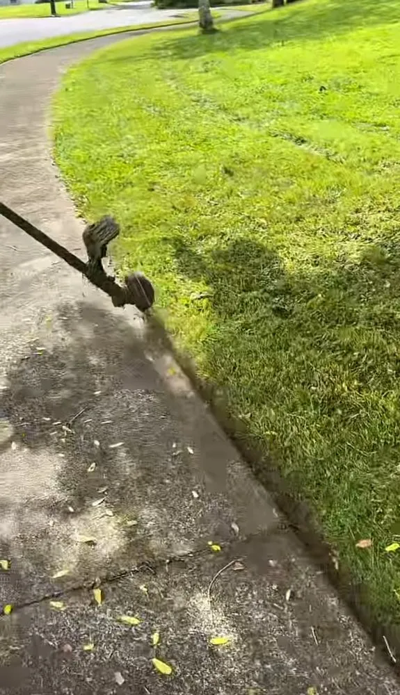 Trusted garden landscaping in Charleston, IL - Mid-America Lawncare & Landscaping