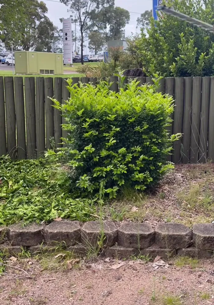 Reliable landscaping services in Charleston, IL - Mid-America Lawncare & Landscaping