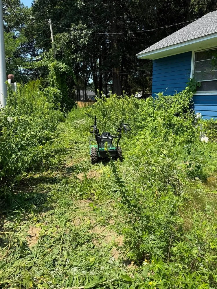 Expert landscape installation for residential properties across Charleston, IL - Mid-America Lawncare & Landscaping