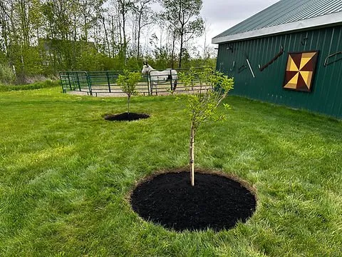 Expert lawn care service for homes across Charleston, IL - Mid-America Lawncare & Landscaping