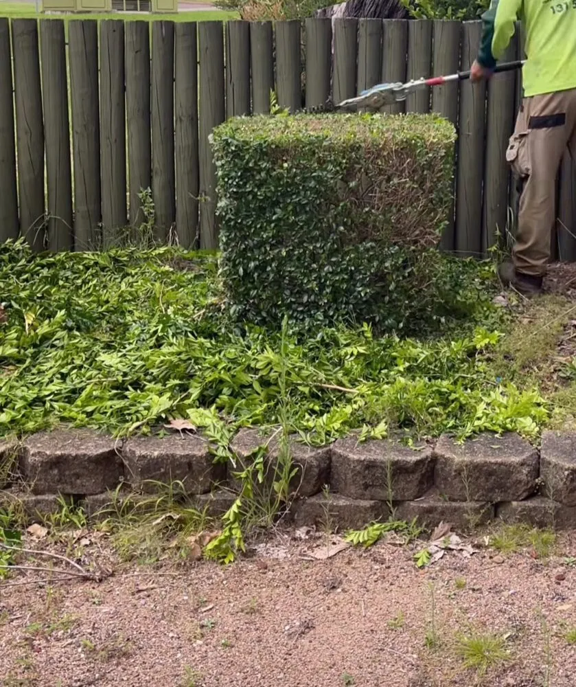 Top-rated outdoor landscaping for year-round maintenance in Charleston, IL by Mid-America Lawncare & Landscaping