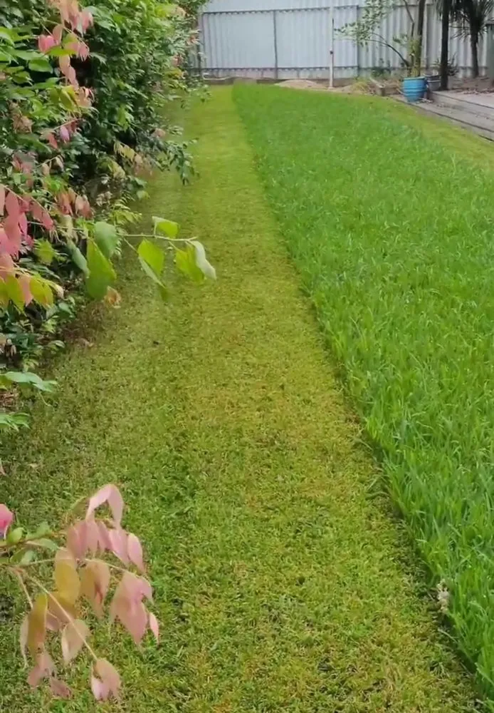 Local yard cleanup service for beautiful yards across Charleston, IL - Mid-America Lawncare & Landscaping