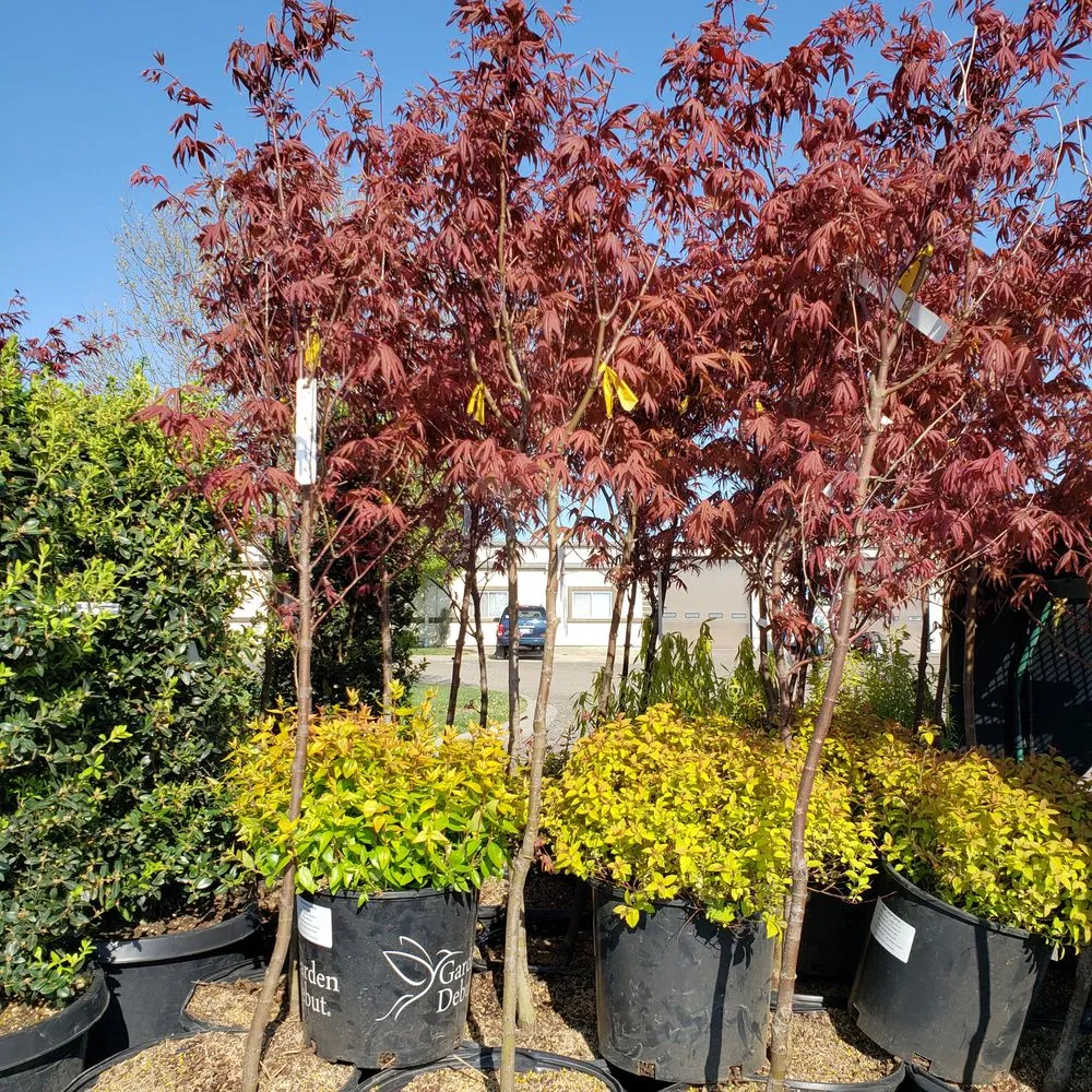 Affordable landscape installation in Warrensburg, MO by Mid America Turf & Landscaping